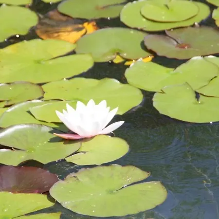 巴宾公寓 * Techelsberg